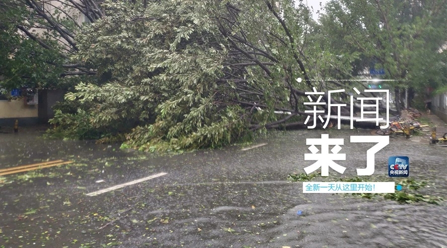 “山竹”怒過(guò)，高空塔吊你還好嗎？
